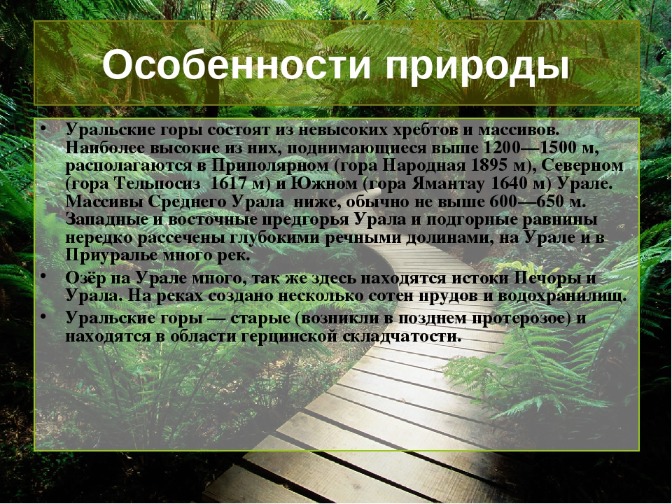 Творческий проект 5 класс стульчик для отдыха на природе 5 класс