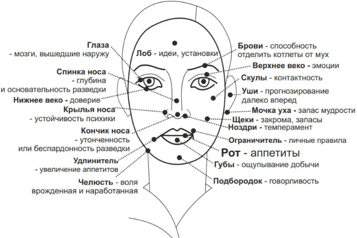 Определить что написано на фото онлайн