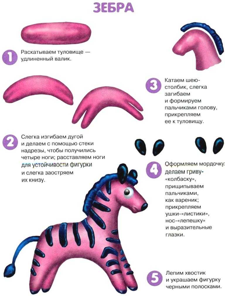 Схемы для лепки для дошкольников