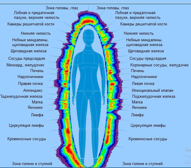 Фото лярвы аура человека