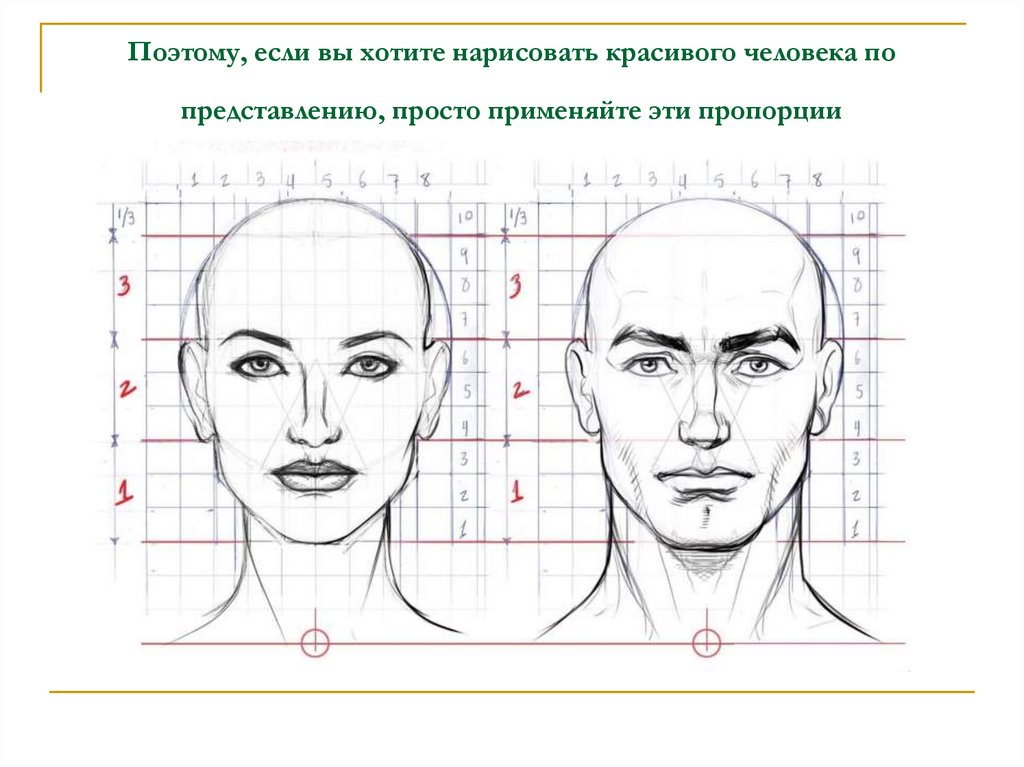 Рисунок портрет схема