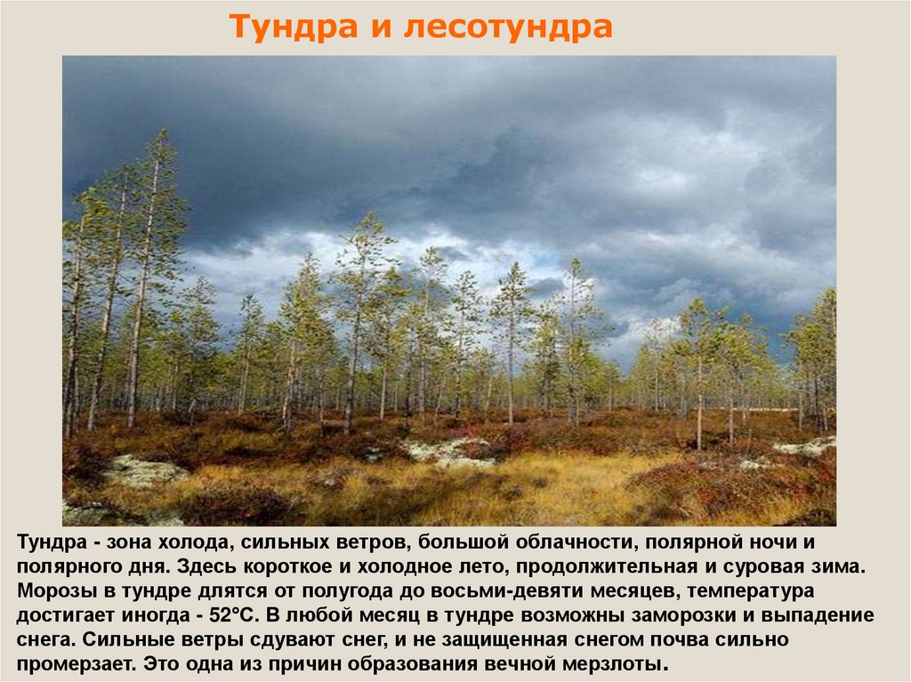 Ошибку для растительного покрова тундры характерно. Тундра и лесотундра. Природные зоны тундры и лесотундры. Тундра и лесотундра презентация. Презентация на тему природа России.