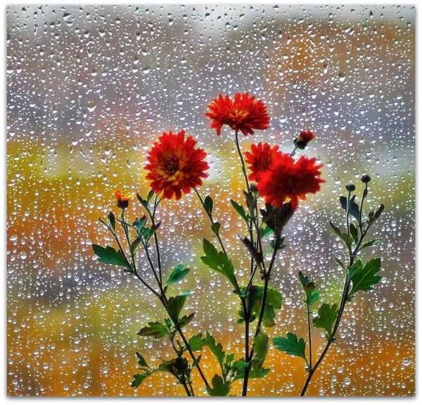 Доброе утро дождь за окном картинки с надписями