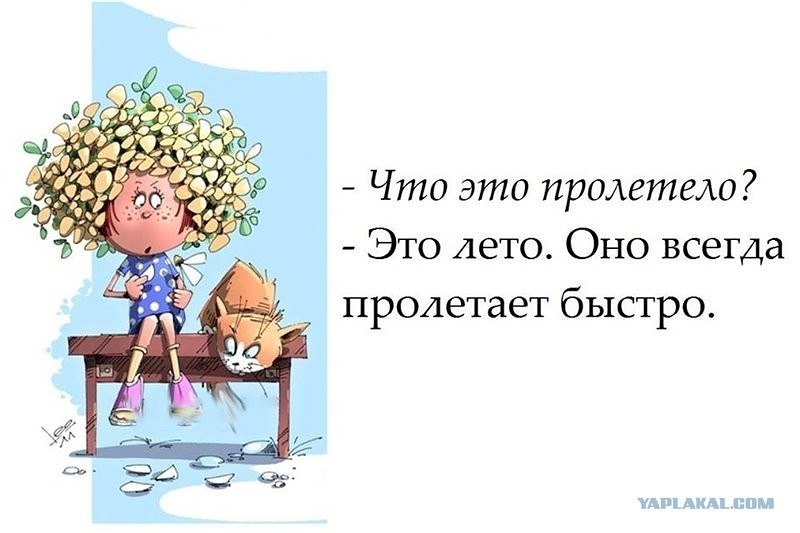 Бабушки которые весь год вели себя плохо получают внуков на все лето картинки