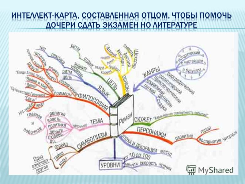 Голосеменные растения ментальная карта