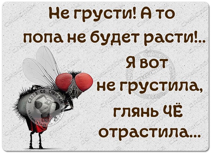 Не расстраивайся все будет хорошо картинки прикольные