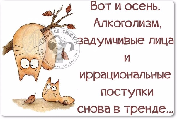 Наступила осень отцвели сады мне никто не надо кроме ты какие очаровательные стихи хотите водки