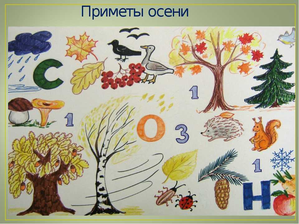 Осень картинки для детей в детском саду для оформления стенда