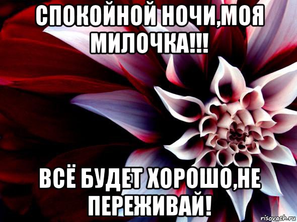 Оля спокойно. Спокойной ночи в е будет хорошо. Спокойной ночи все будет хорошо. Спокойной ночи Иришка. Спокойной ночи не переживай.