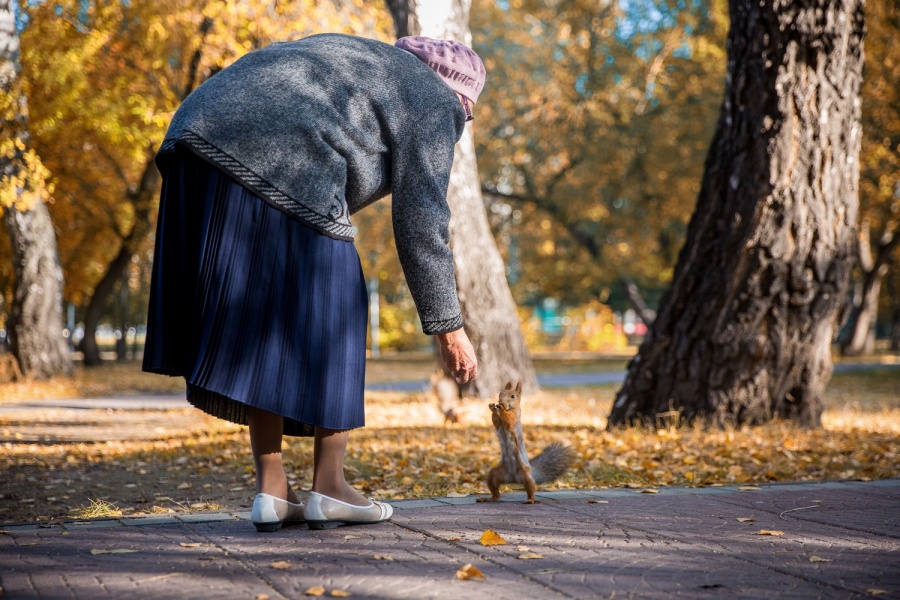 Холодно картинки прикольные смешные