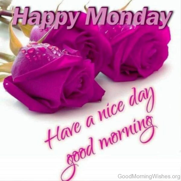 Good Monday Have A Nice Day