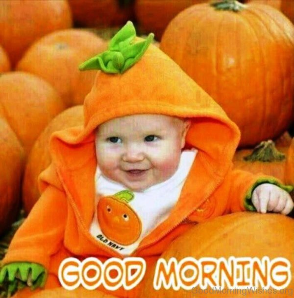 Good Morning With Pumpkin