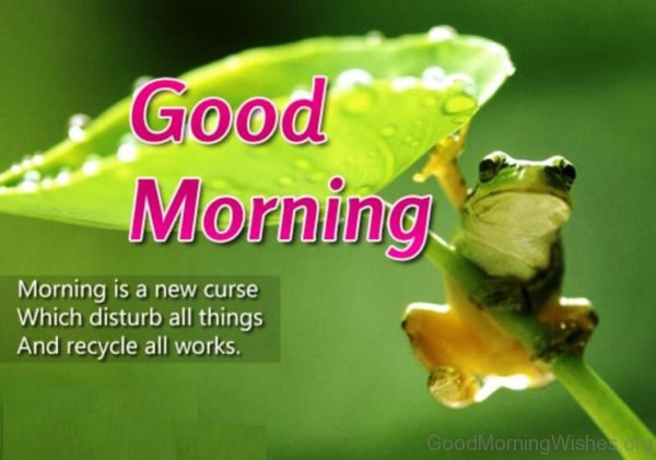 Morning Is A New Curse Which Disturb All Things