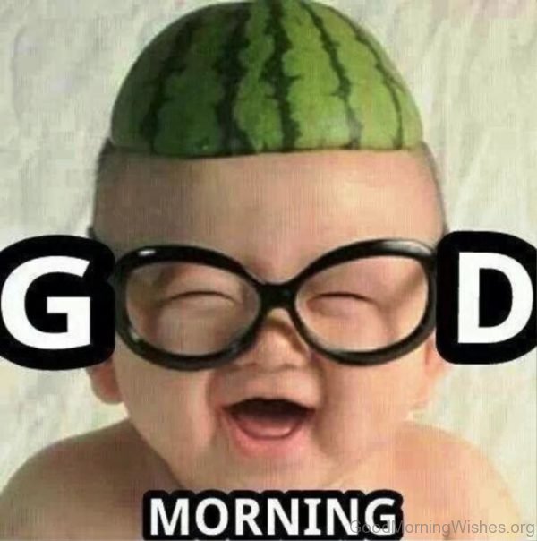 Very Funny Pic Of Good Morning
