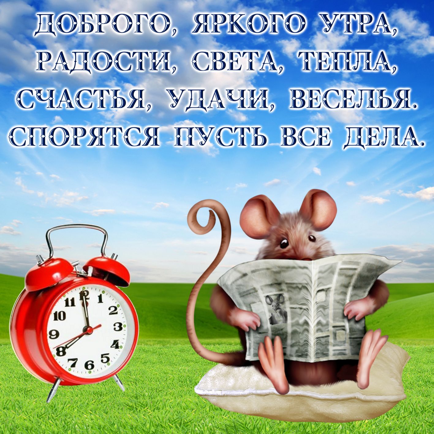 Доброе утро картинки прикольные смешные позитивные гифки