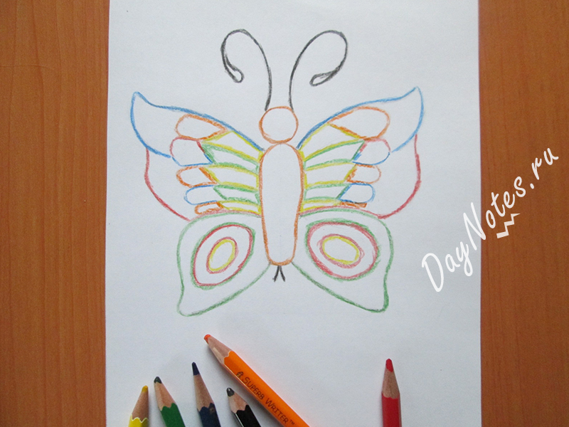 как нарисовать бабочку карандашом поэтапно для детей