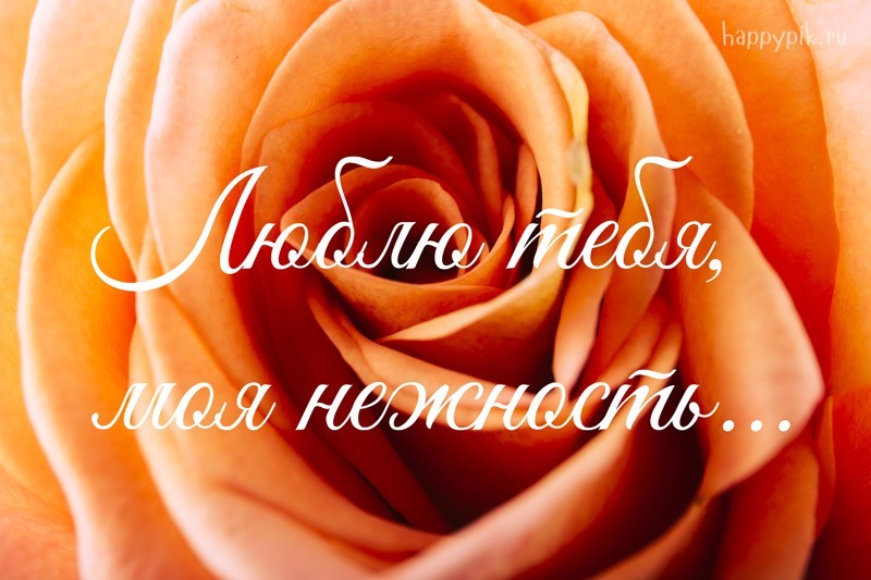 Люблю тебя картинки