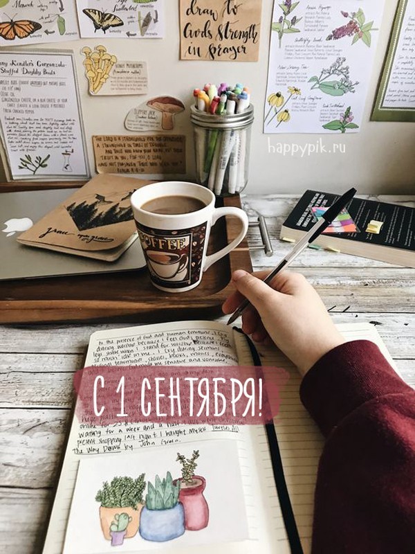 С 1 сентября! С днём знаний!