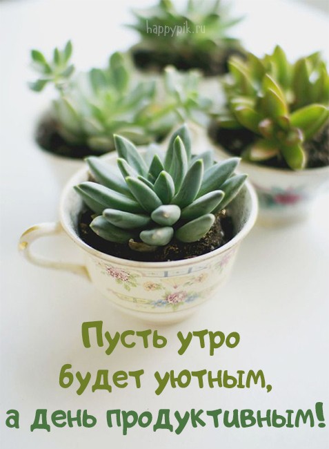 Доброе утро красивые картинки