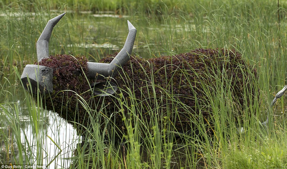 A Highland cow creation looks a long way from home in the Montreal display, looking like it