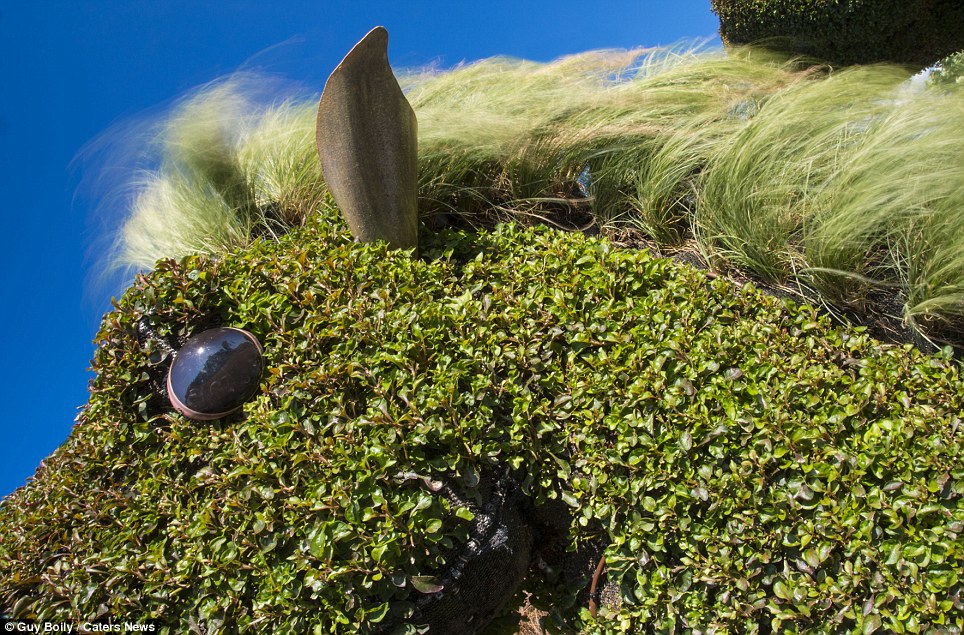 A horticulturalist designed a horse for this entry, with the large eyes and ear added on to the plants and foliage used for the head and mane