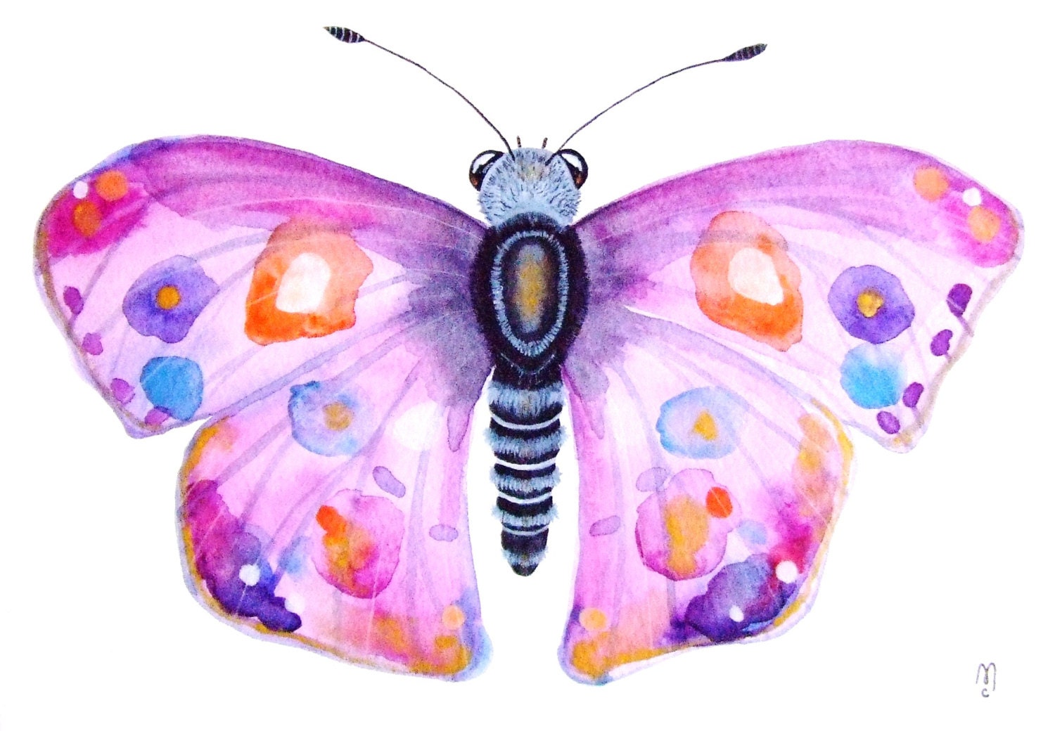 Раскрасить бабочку акварелью