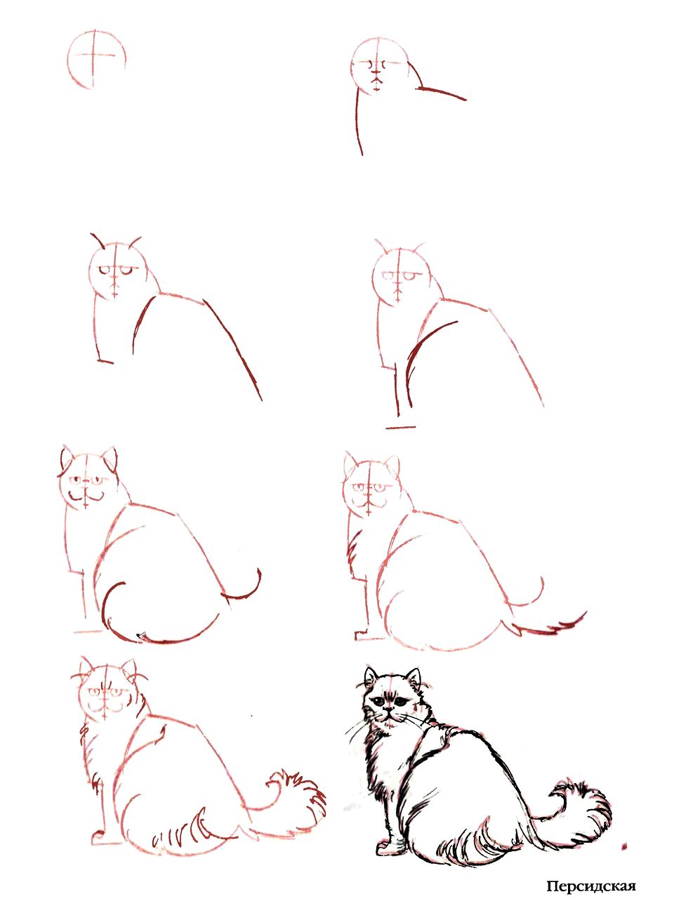 Поэтапное рисование кошки карандашом
