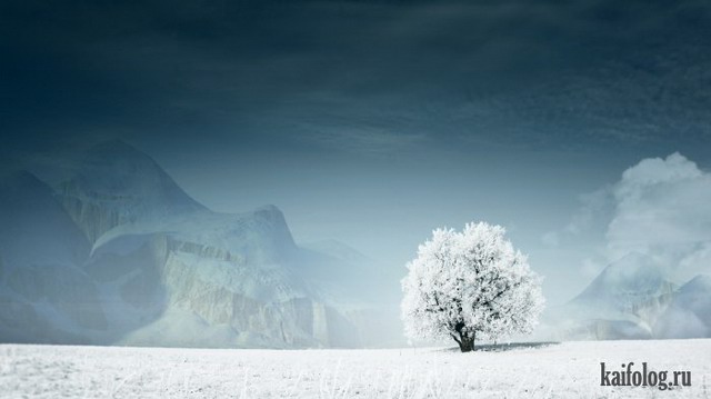 Красивая зима (60 фото)
