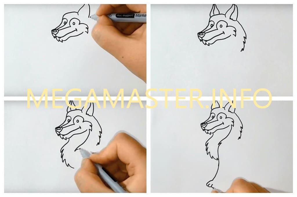 Рисуем волка красиво и быстро (Шаг 2)