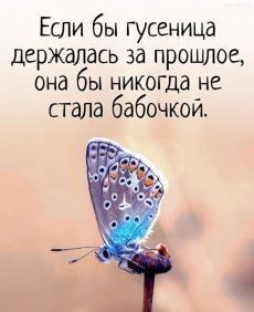 Мудрые пожелания доброй ночи