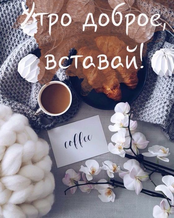 Стихи с добрым утром