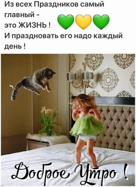 Доброе утро хорошего дня