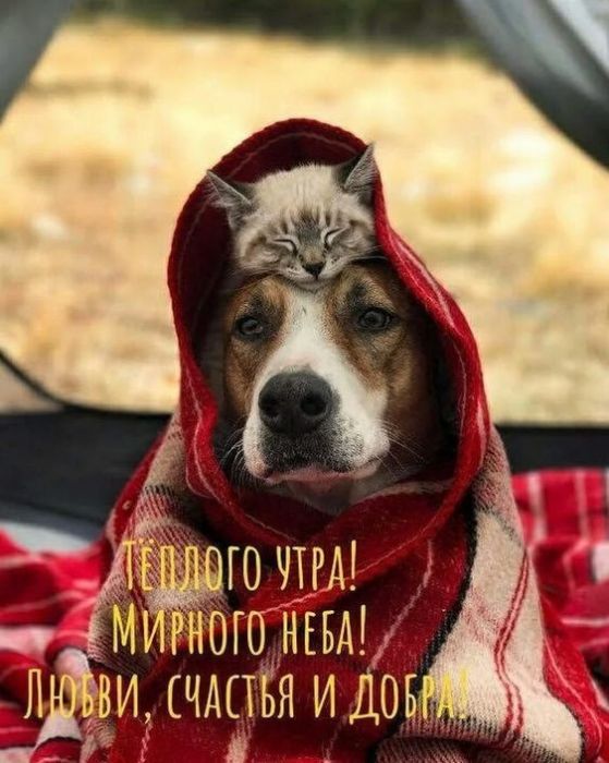 Доброе утро хорошего дня