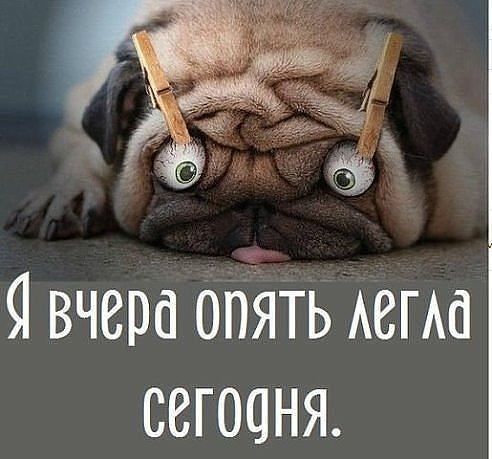 Доброе утро хорошего дня