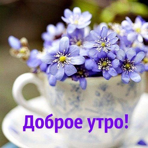 Доброе утро хорошего дня