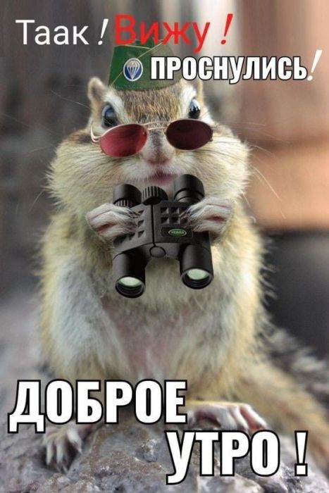 Доброе утро хорошего дня