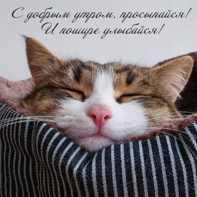 Доброе утро хорошего дня
