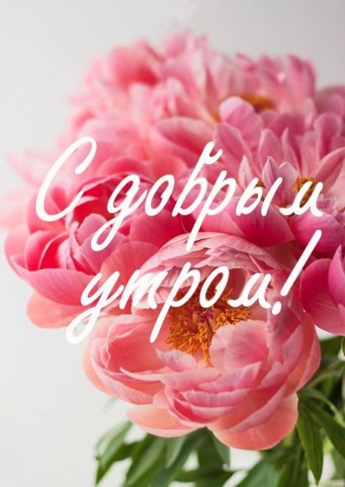 Доброе утро хорошего дня