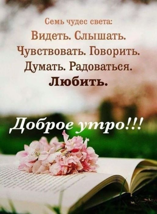 Доброе утро хорошего дня