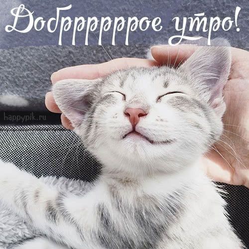Доброе утро хорошего дня