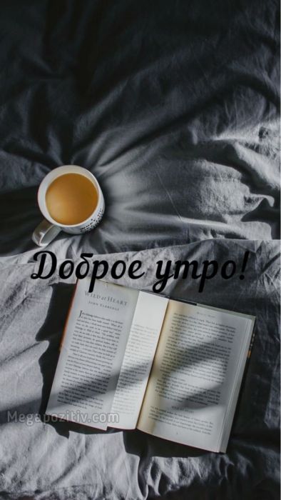 Доброе утро картинки