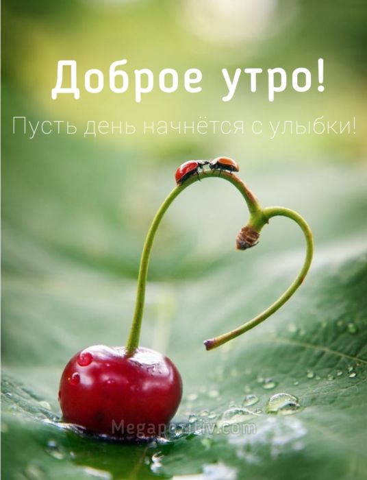Доброе утро картинки