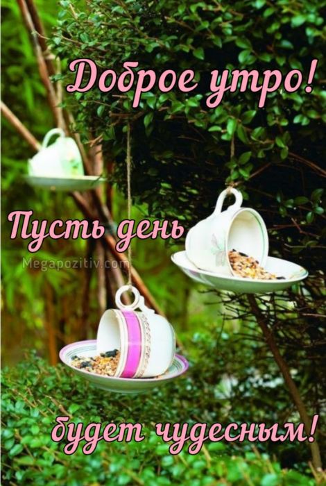 Доброе утро картинки