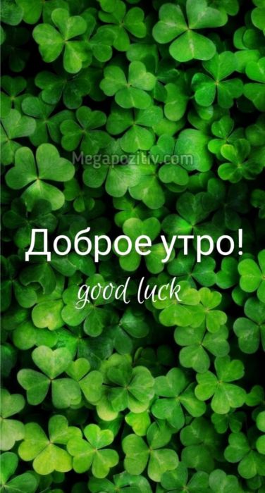 Доброе утро картинки