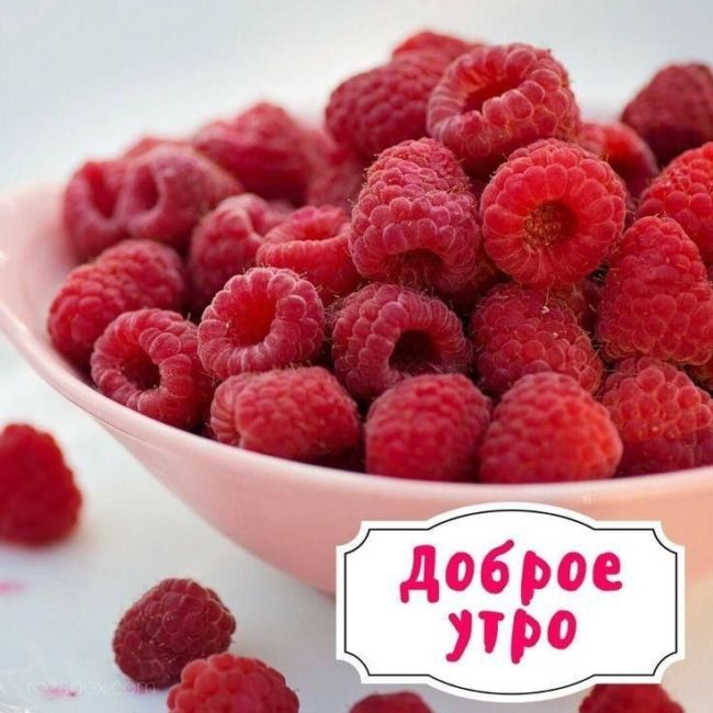 Доброе утро картинки