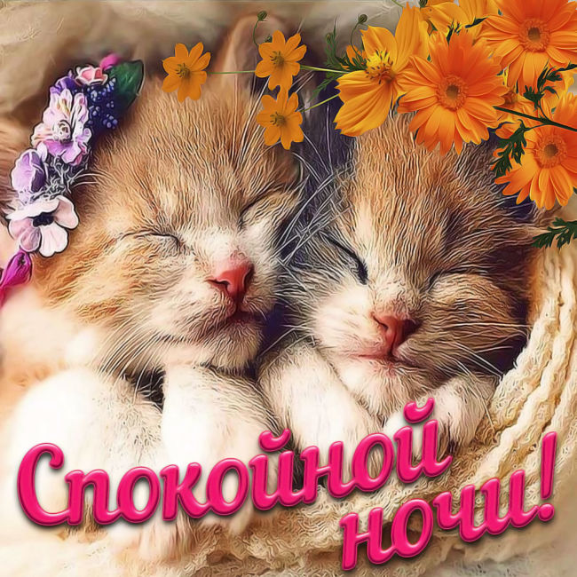 Пожелания спокойной ночи