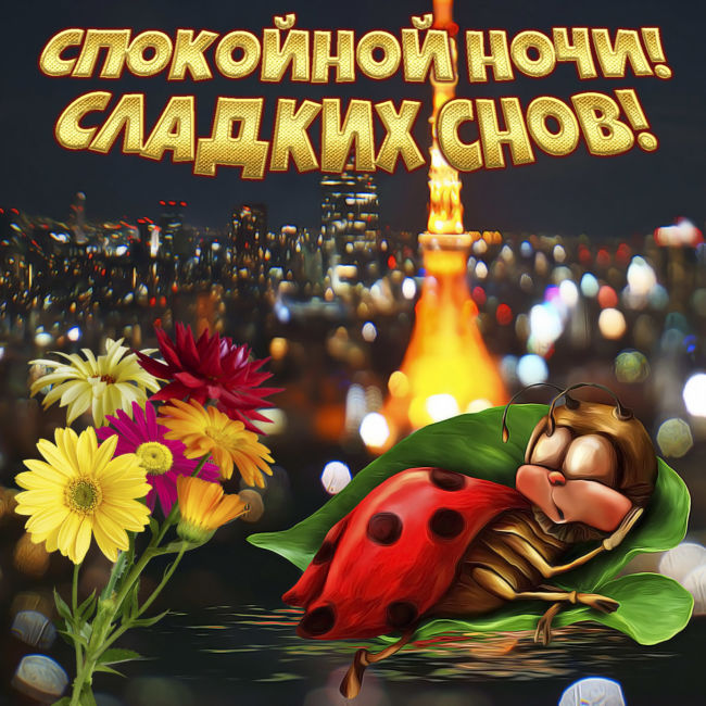 Пожелания спокойной ночи