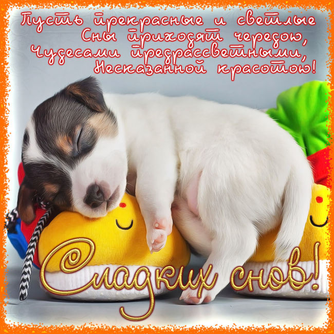 Пожелания спокойной ночи