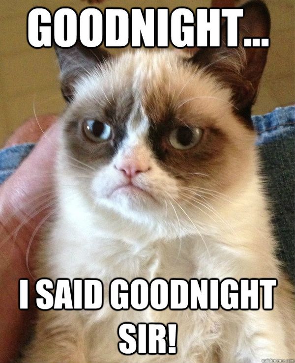 best good night cat meme
