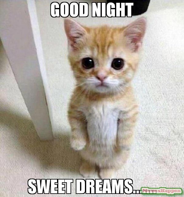 cute sweet dreams meme